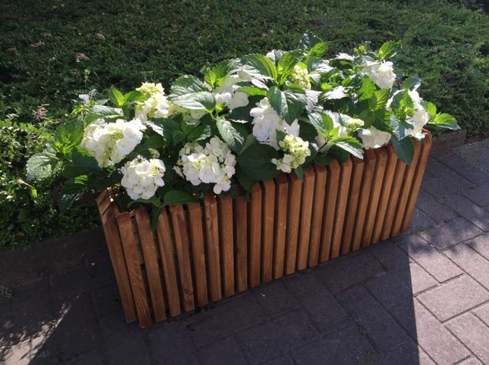 jak-spravne-zalozit-vyvyseny-zahon